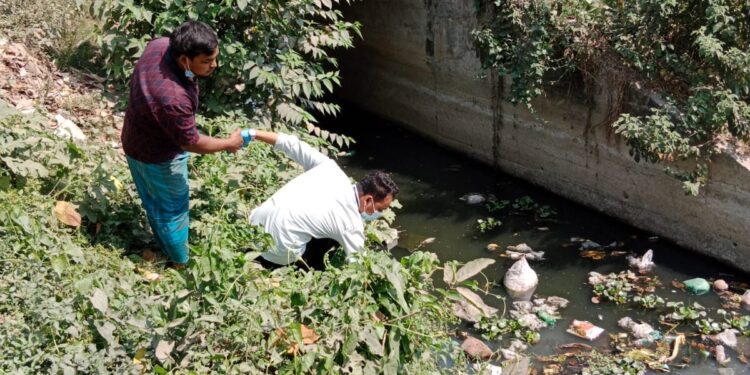 Environmental monitoring offers an inexpensive tool for typhoid fever surveillance
