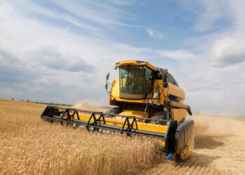 FAO: The global food price index fell to its lowest level in three years