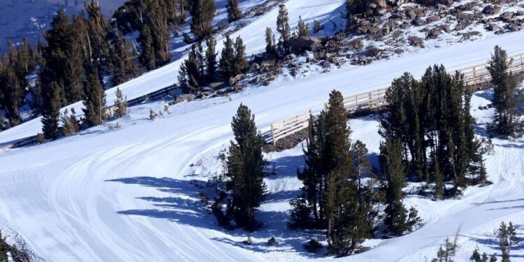 Fall from a chairlift: a teenage girl injured after being escaped by rescuers