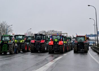 Farmers criticize unfair competition… Can the French pay the price?
