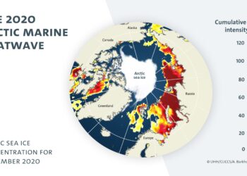 Frequent marine heatwaves in the Arctic Ocean will be the norm, new study suggests