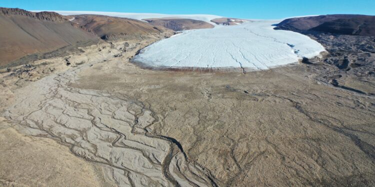 Greenland’s ice sheet is melting and being replaced by vegetation, major satellite analysis shows