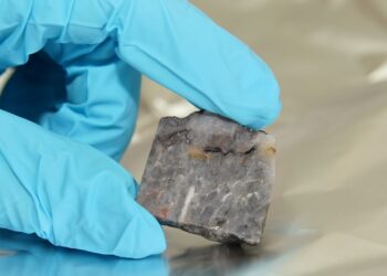 High-resolution techniques reveal clues to 3.5 billion-year-old biomass