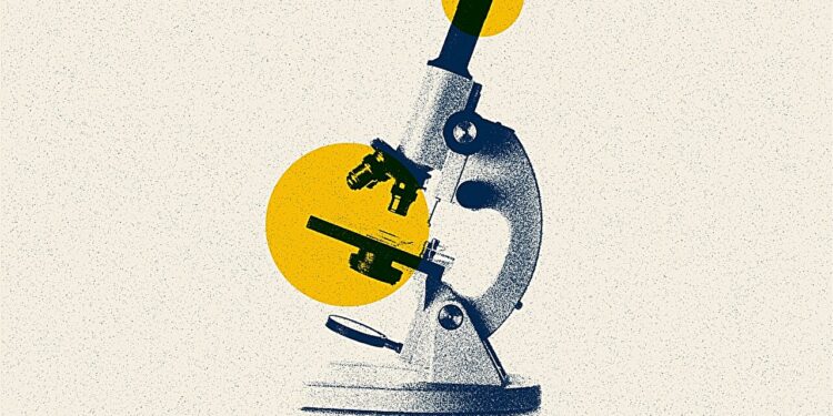 Hippo signaling pathway provides new insight into systemic sclerosis