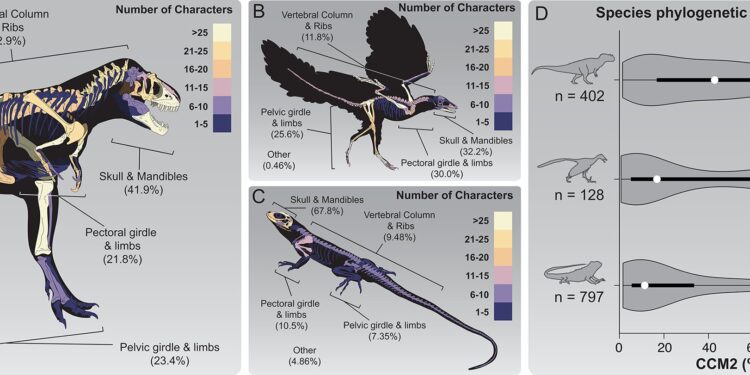 How large fossil sites shape our understanding of evolutionary relationships between fossil groups