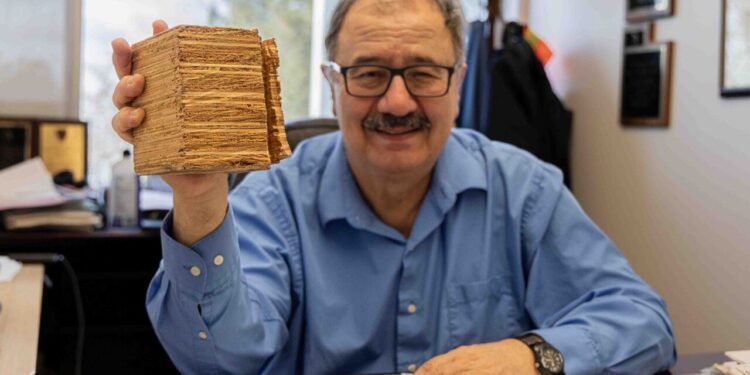 How wood is making a comeback in construction