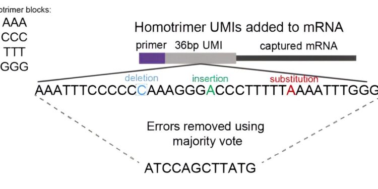 Improving the Accuracy of Molecular Quantification in High-Throughput Sequencing