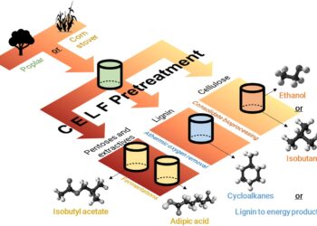 Inexpensive, carbon-neutral biofuels are finally possible