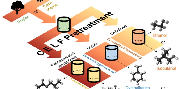 Inexpensive, carbon-neutral biofuels are finally possible