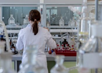 Inexpensive microbe could speed biological discovery