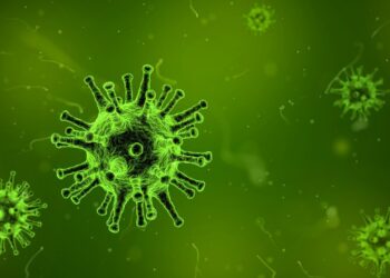 Influenza virus variants resistant to new antiviral drug candidate lose pathogenicity, study finds