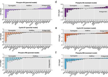 Innovative modeling can help breast cancer patients who don’t respond to treatment