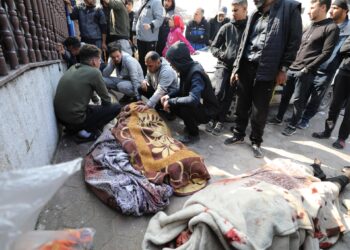 International Criminal Prosecutor: What is happening in Gaza is worrying