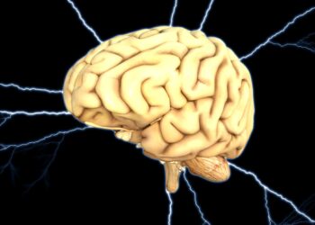 It’s the immune response, not acute viral infections, that causes neurological damage, researchers find