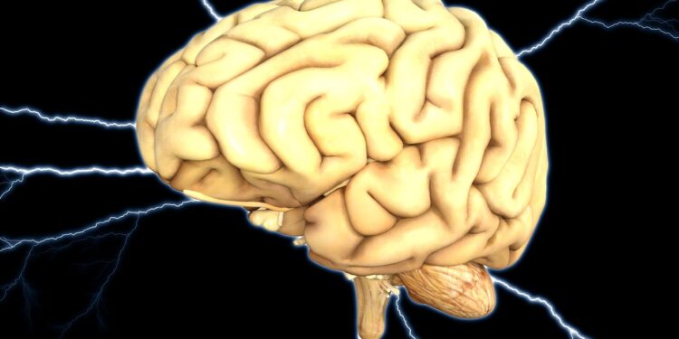 It’s the immune response, not acute viral infections, that causes neurological damage, researchers find