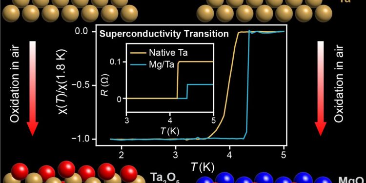 Magnesium protects tantalum, a promising material for making qubits