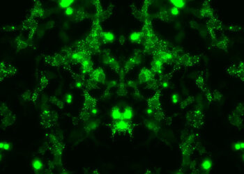 Mapping potential pathways toward treatment of motor neuron diseases