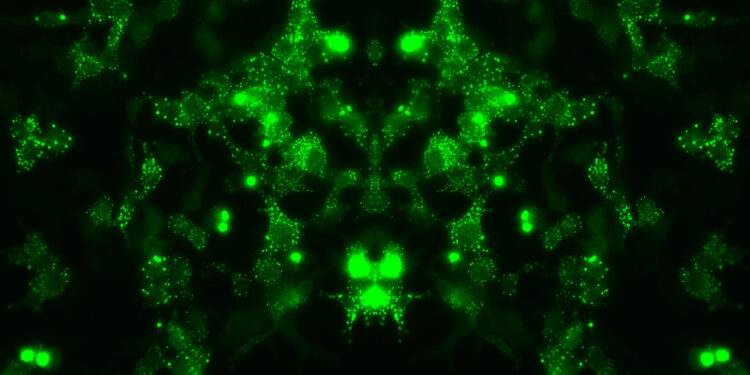 Mapping potential pathways toward treatment of motor neuron diseases