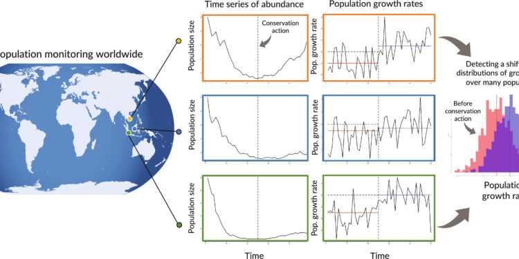 Measurement uncertainty could block global biodiversity targets