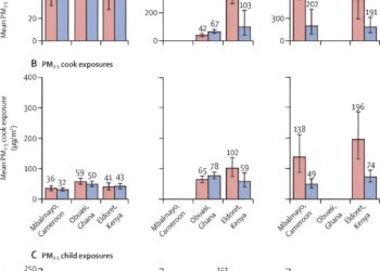 Measuring household air pollution exposure in sub-Saharan Africa