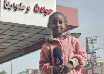 Media Part: Young voices on Instagram put Gaza before the eyes of the world