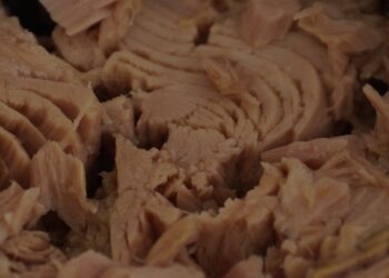 Mercury levels in tuna remain almost unchanged since 1971, study finds