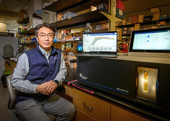 Microbial division of labor produces higher yields of biofuels