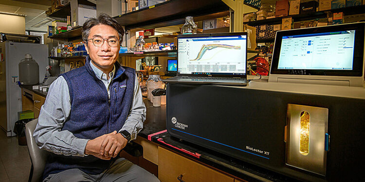 Microbial division of labor produces higher yields of biofuels
