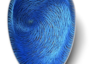 Modeling and simulation of self-organized intracellular twisters in the Drosophila oocyte