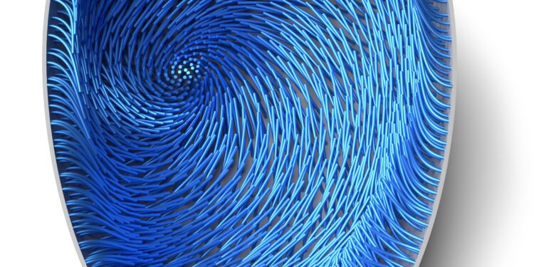 Modeling and simulation of self-organized intracellular twisters in the Drosophila oocyte