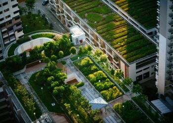 Modeling shows green roofs can cool cities and save energy