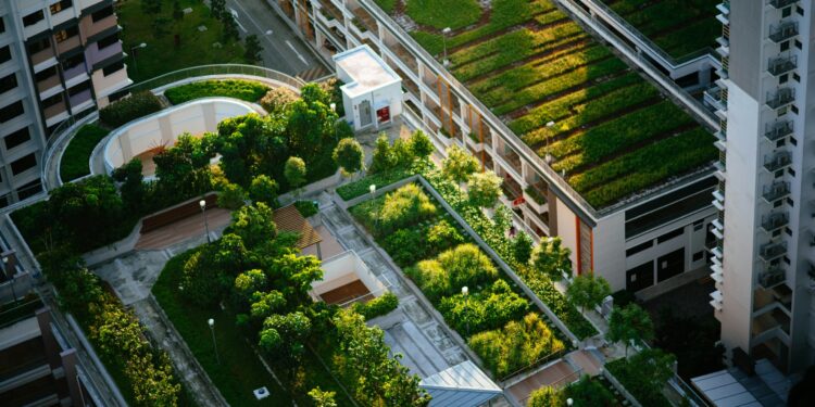 Modeling shows green roofs can cool cities and save energy