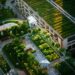 Modeling shows green roofs can cool cities and save energy