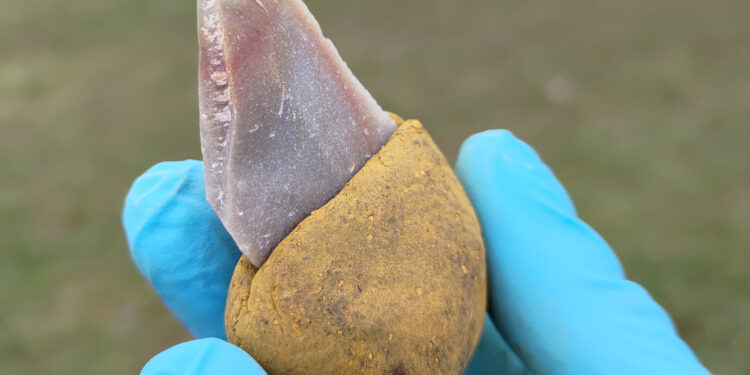 Neanderthals’ use of complex adhesives reveals higher cognitive abilities, scientists find