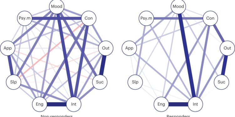 Network analysis highlights key role of plasticity in transition from depression to mental health