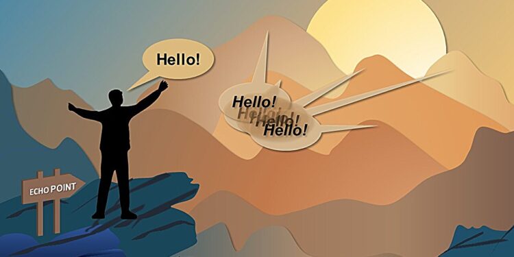 Neural activity study shows brain processes direct speech and echo separately