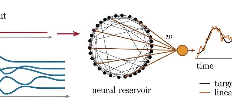 Neural diversity impacts how the brain processes information