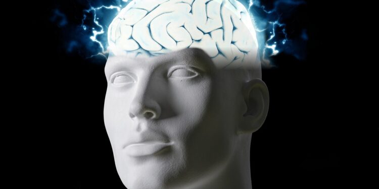 Neural network model identifies distinct brain organization patterns in women and men