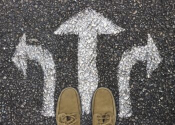 Neuroscientists explore how the brain makes decisions