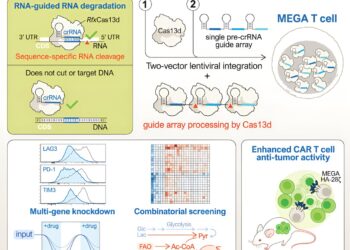 New RNA editing tool could improve cancer treatment