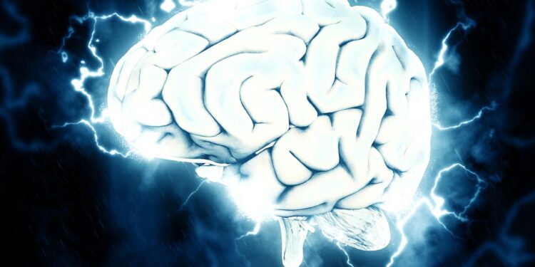 New algorithm disentangles intrinsic brain patterns from sensory inputs