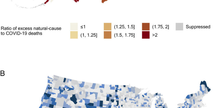 New analysis finds many excess deaths attributed to natural causes are actually uncounted deaths from COVID-19