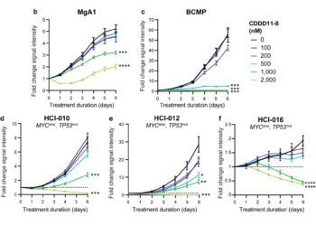 New drug stops growth of aggressive breast cancer in preclinical study