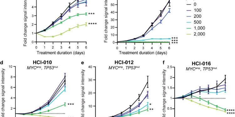 New drug stops growth of aggressive breast cancer in preclinical study