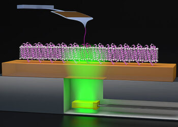 New findings on protein folding in bacteriorhodopsin