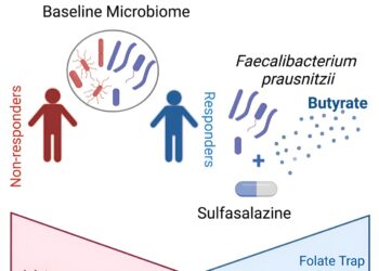 New insights into an old IBD drug could improve treatments