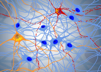 New model identifies potential therapeutic target