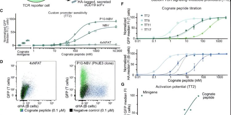 New platform provides in-depth insights into T cell responses against a new cancer vaccine