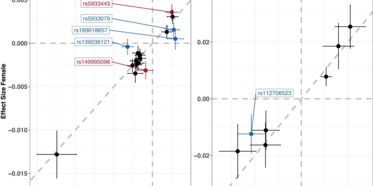 New sex-specific genetic variants for chronic kidney disease identified