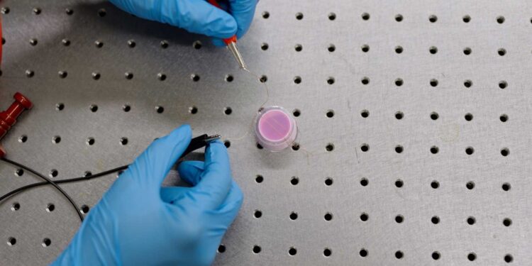 New solution for energy transfer to heart pumps alleviates infections